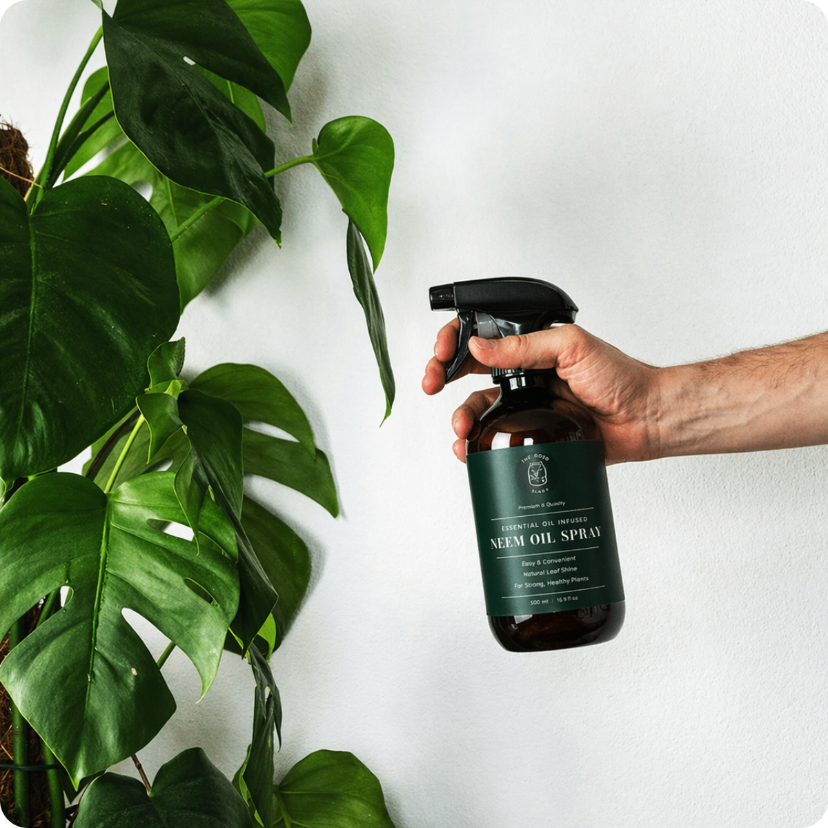 Plant Protection