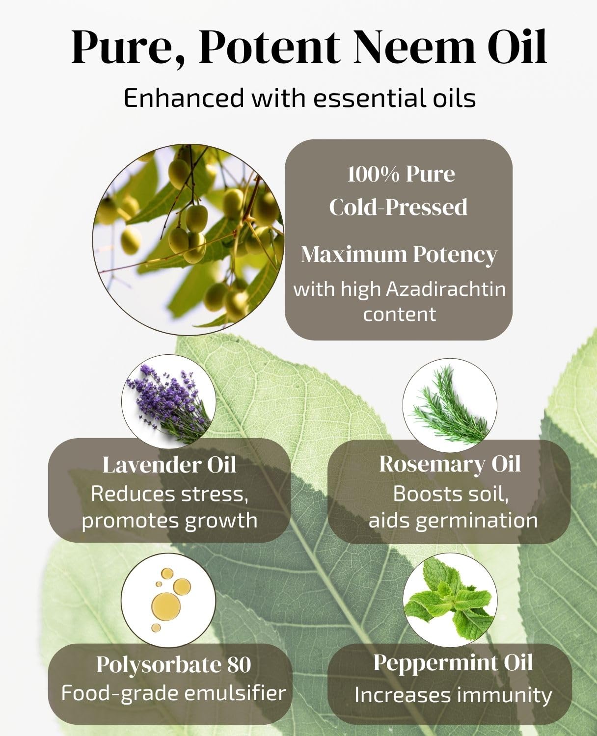 Neem Oil Plant Spray Refills