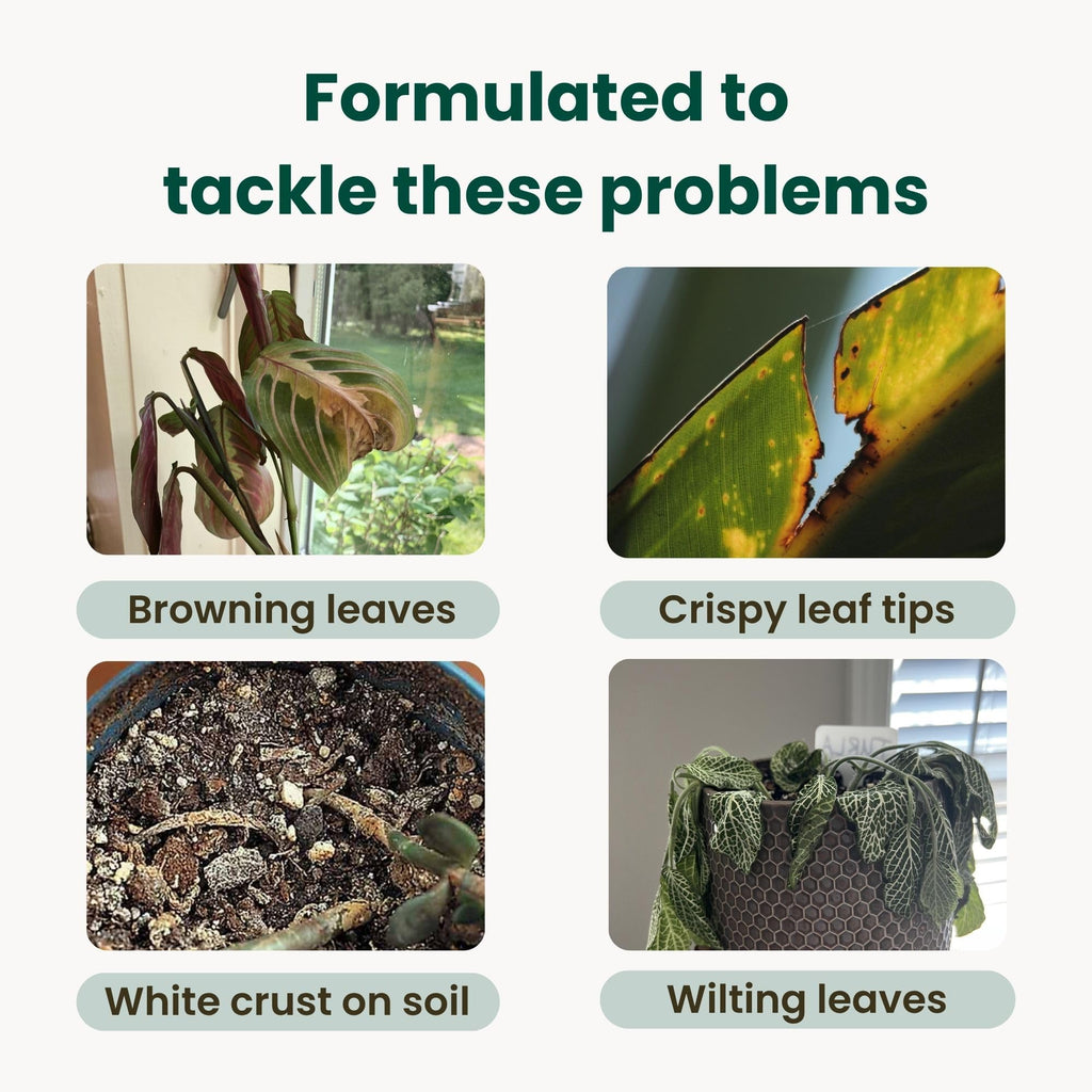 Tap Water Conditioner