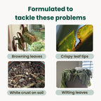 Tap Water Conditioner