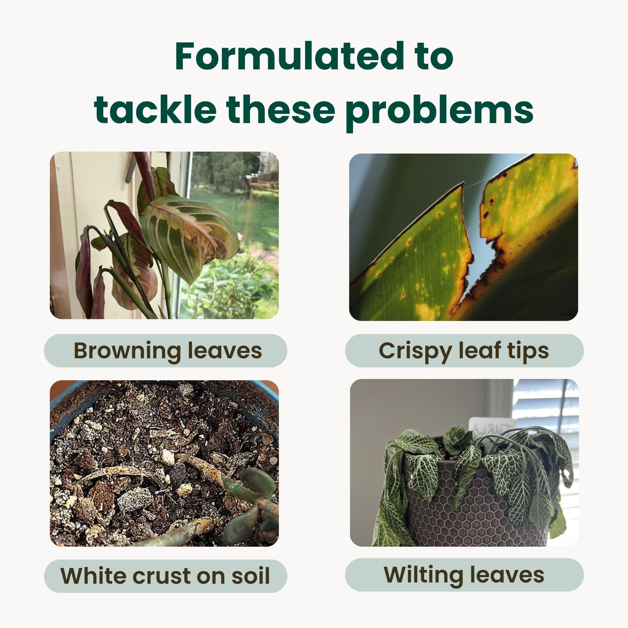Tap Water Conditioner