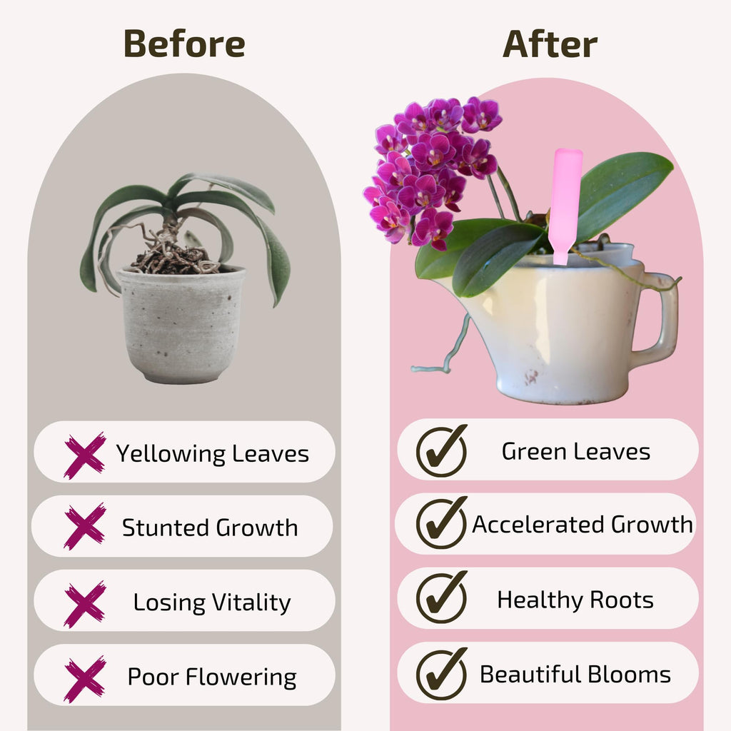 Orchid Fertilizer Sticks