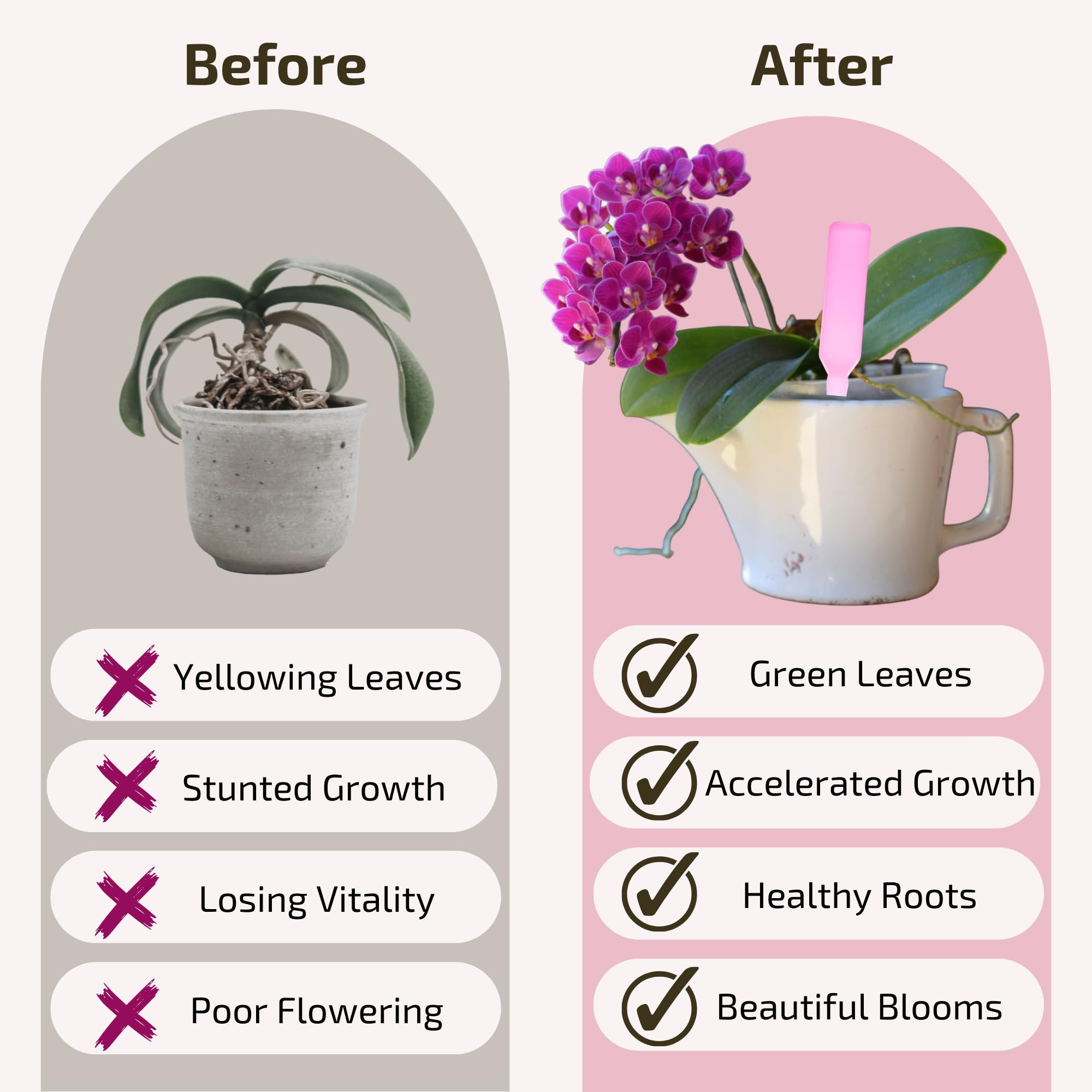 Orchid Fertilizer Sticks