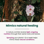 Orchid Fertilizer Spray Kit
