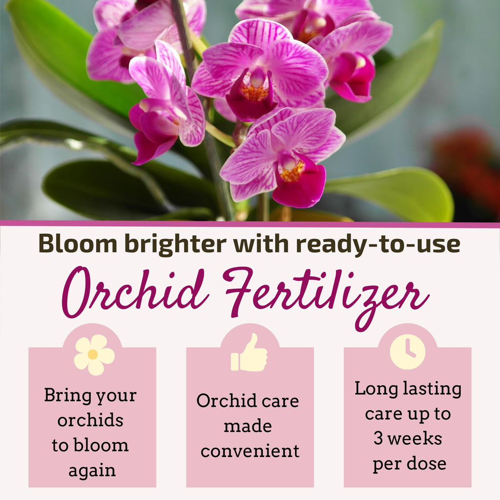 Orchid Fertilizer Sticks