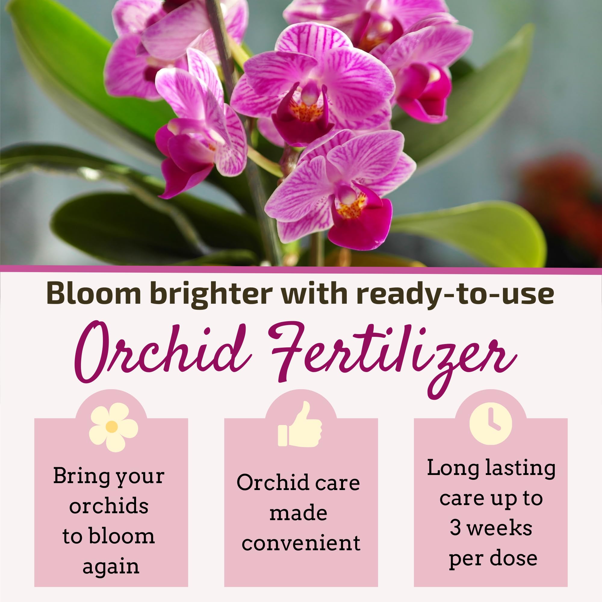 Orchid Fertilizer Sticks