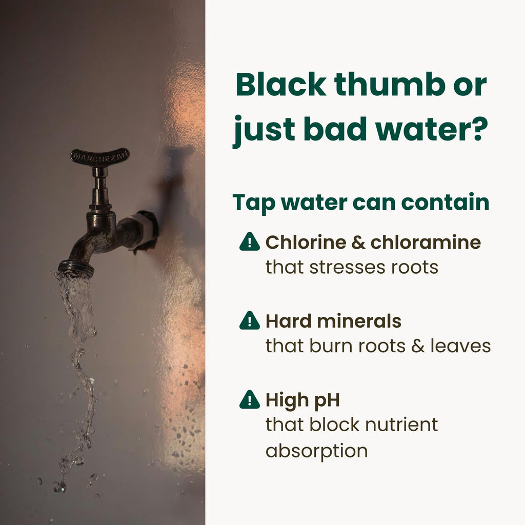 Tap Water Conditioner