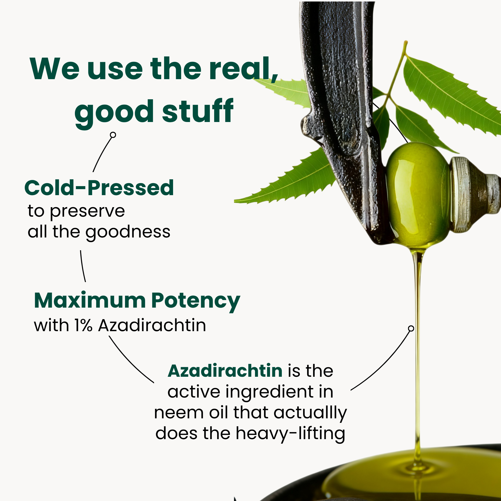 Neem Oil Plant Spray