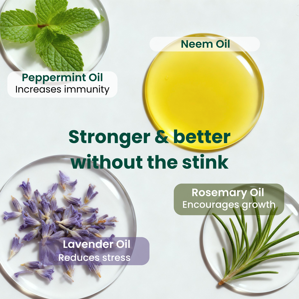 Neem Oil Plant Spray
