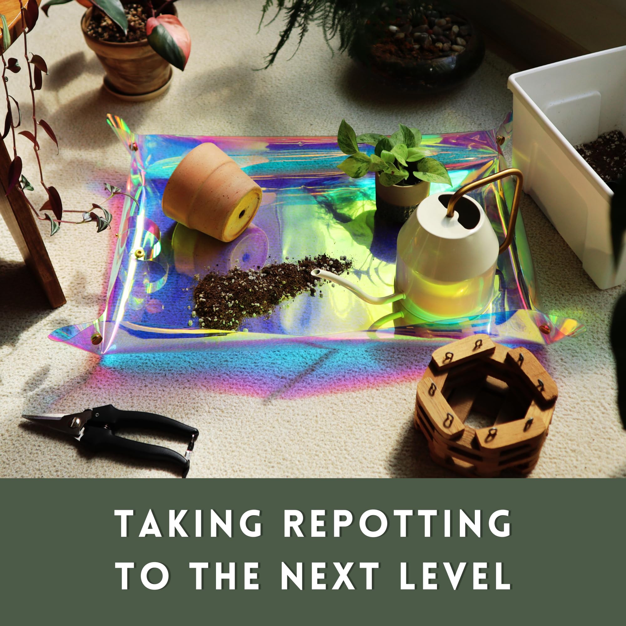 Holographic Repotting Mat