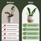Indoor Plant Food Sticks
