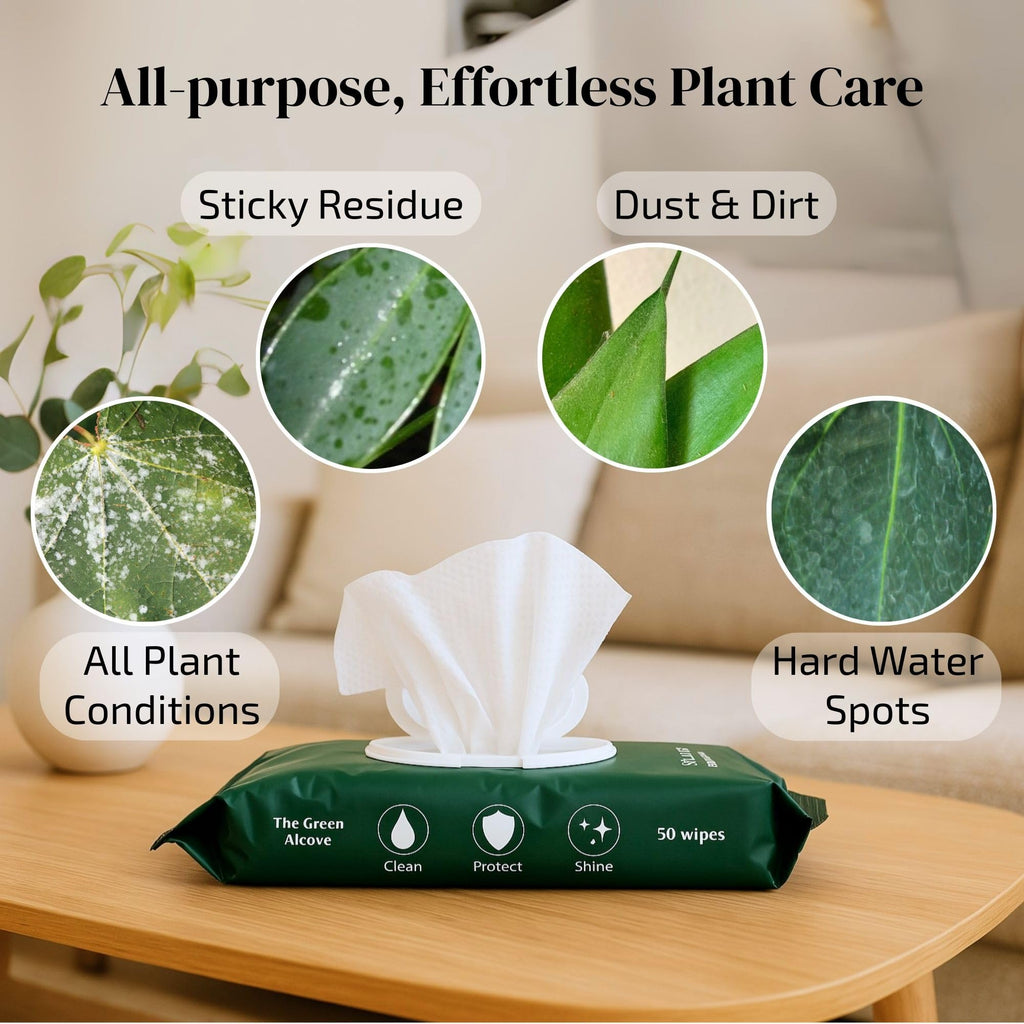 Plant Wipes & Leaf Shine