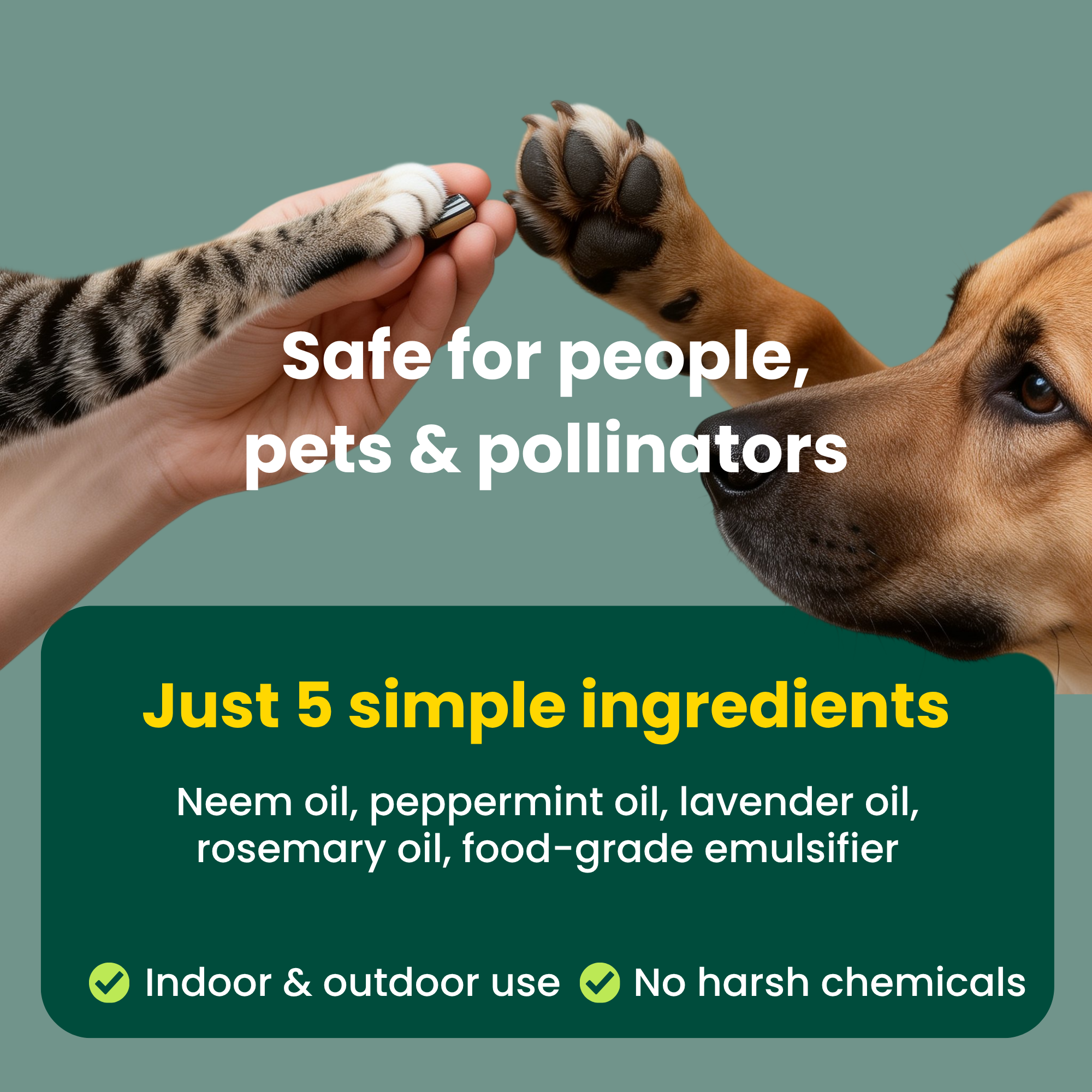 Neem Oil Plant Spray