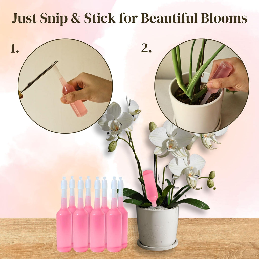 Orchid Fertilizer Sticks