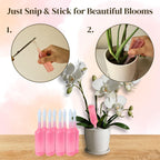 Orchid Fertilizer Sticks