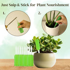 Indoor Plant Food Sticks