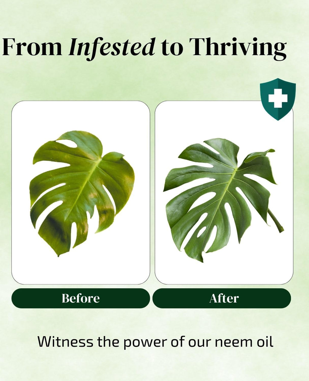Neem Oil Plant Spray Refills