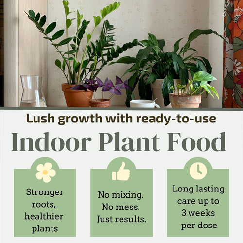 All Purpose Plant Food Sticks