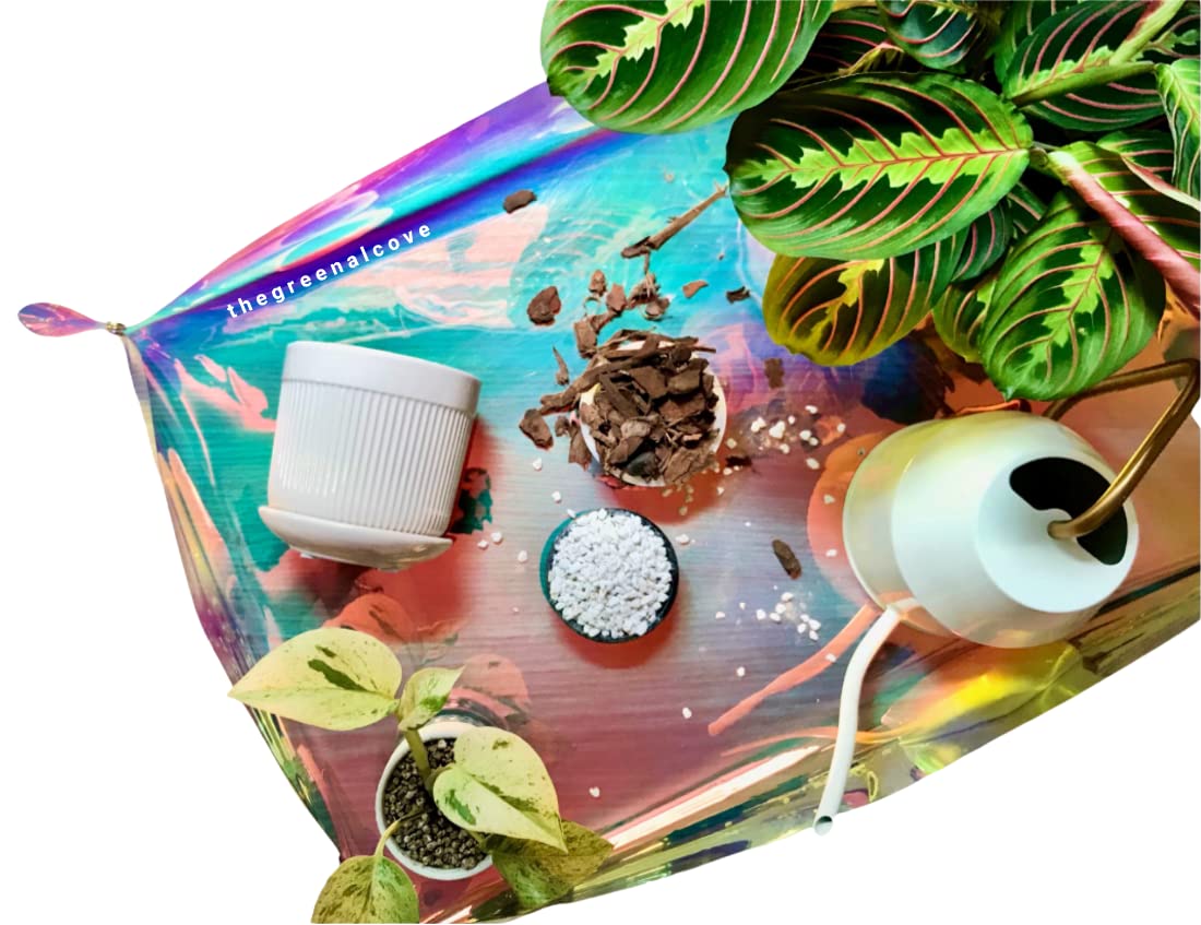 Holographic Repotting Mat