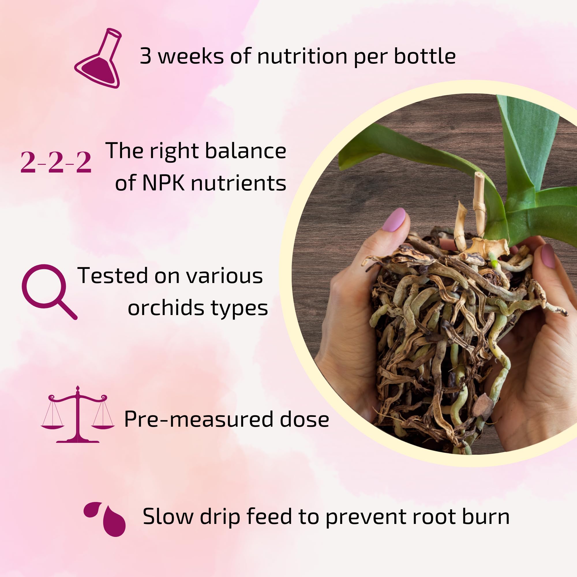 Orchid Fertilizer Sticks