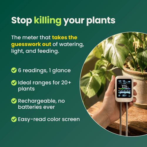 Hand holding the soil meter beside a healthy houseplant, with four benefits listed: six readings, ideal ranges for 20+ plants, rechargeable with no batteries, and an easy-read color screen
