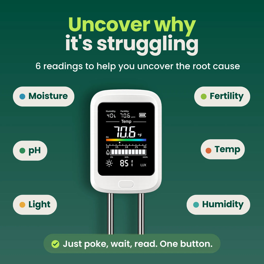 The soil meter's color screen surrounded by labels for its six readings: moisture, pH, light, fertility, temperature and humidity