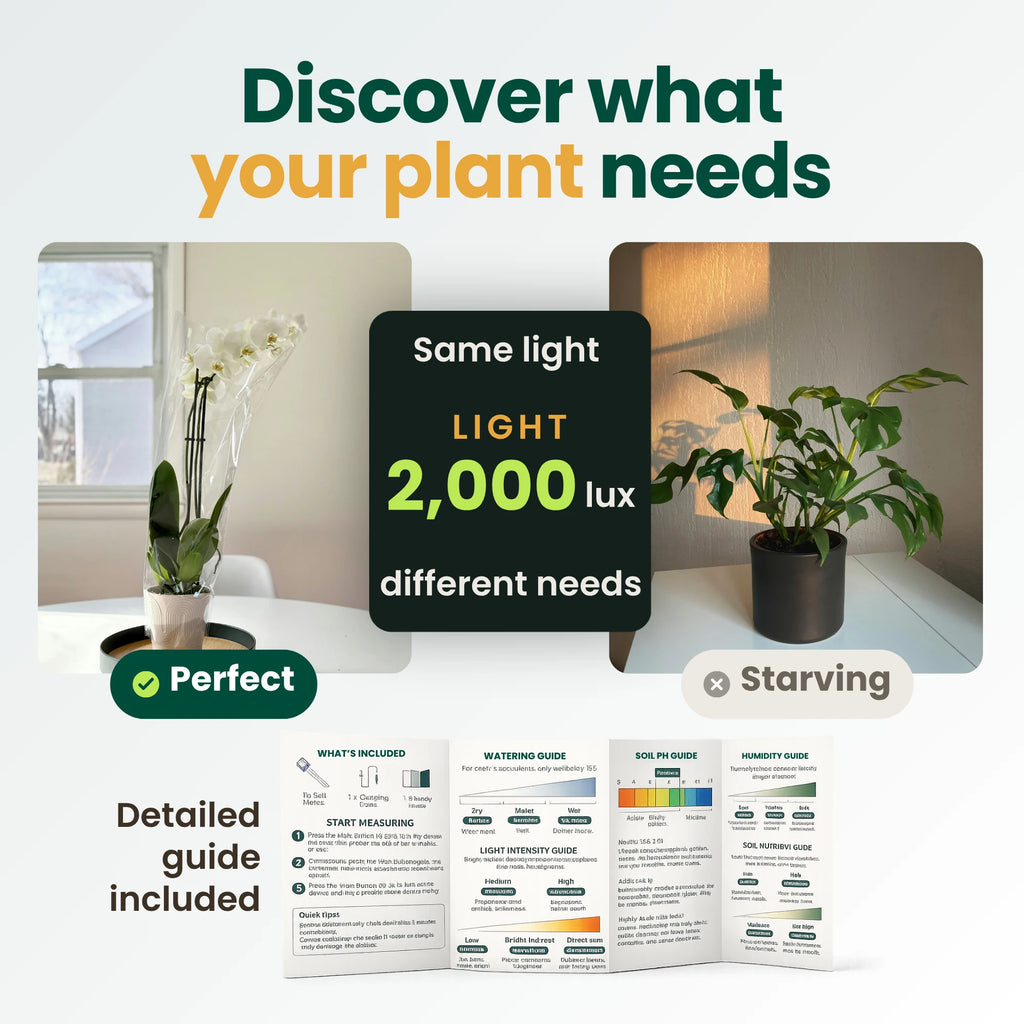 An orchid and a monstera under the same 2,000 lux light reading, one thriving and one starving, shown with the included printed plant guide