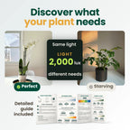 An orchid and a monstera under the same 2,000 lux light reading, one thriving and one starving, shown with the included printed plant guide