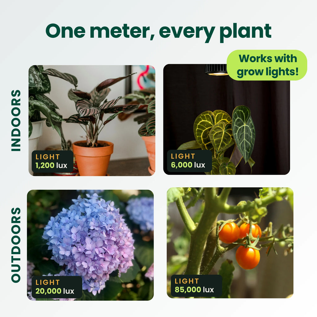 Four scenes showing light readings indoors and outdoors, from a dim corner at 1,200 lux to a tomato plant in full sun at 85,000 lux, including under a grow light