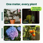 Four scenes showing light readings indoors and outdoors, from a dim corner at 1,200 lux to a tomato plant in full sun at 85,000 lux, including under a grow light