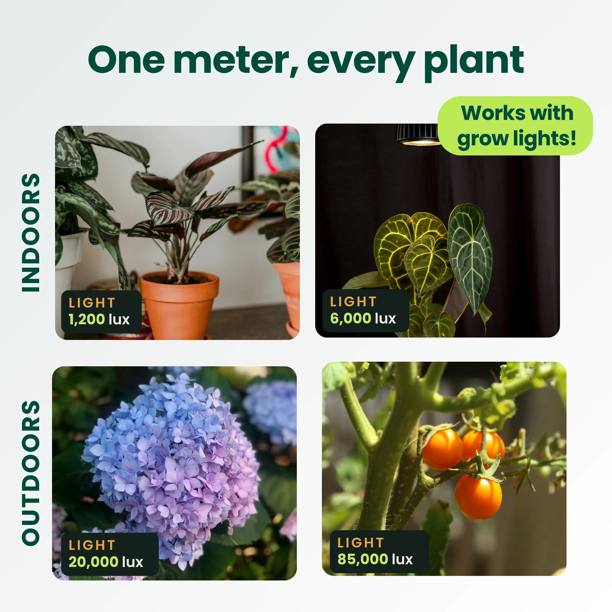 Four scenes showing light readings indoors and outdoors, from a dim corner at 1,200 lux to a tomato plant in full sun at 85,000 lux, including under a grow light